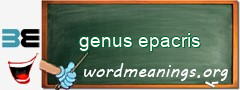 WordMeaning blackboard for genus epacris